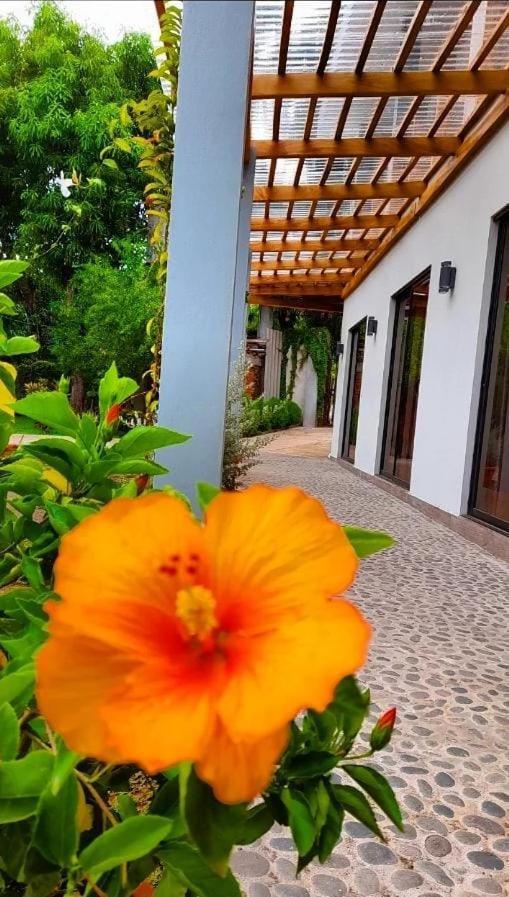 Hotel El Viajero La Libertad Bagian luar foto